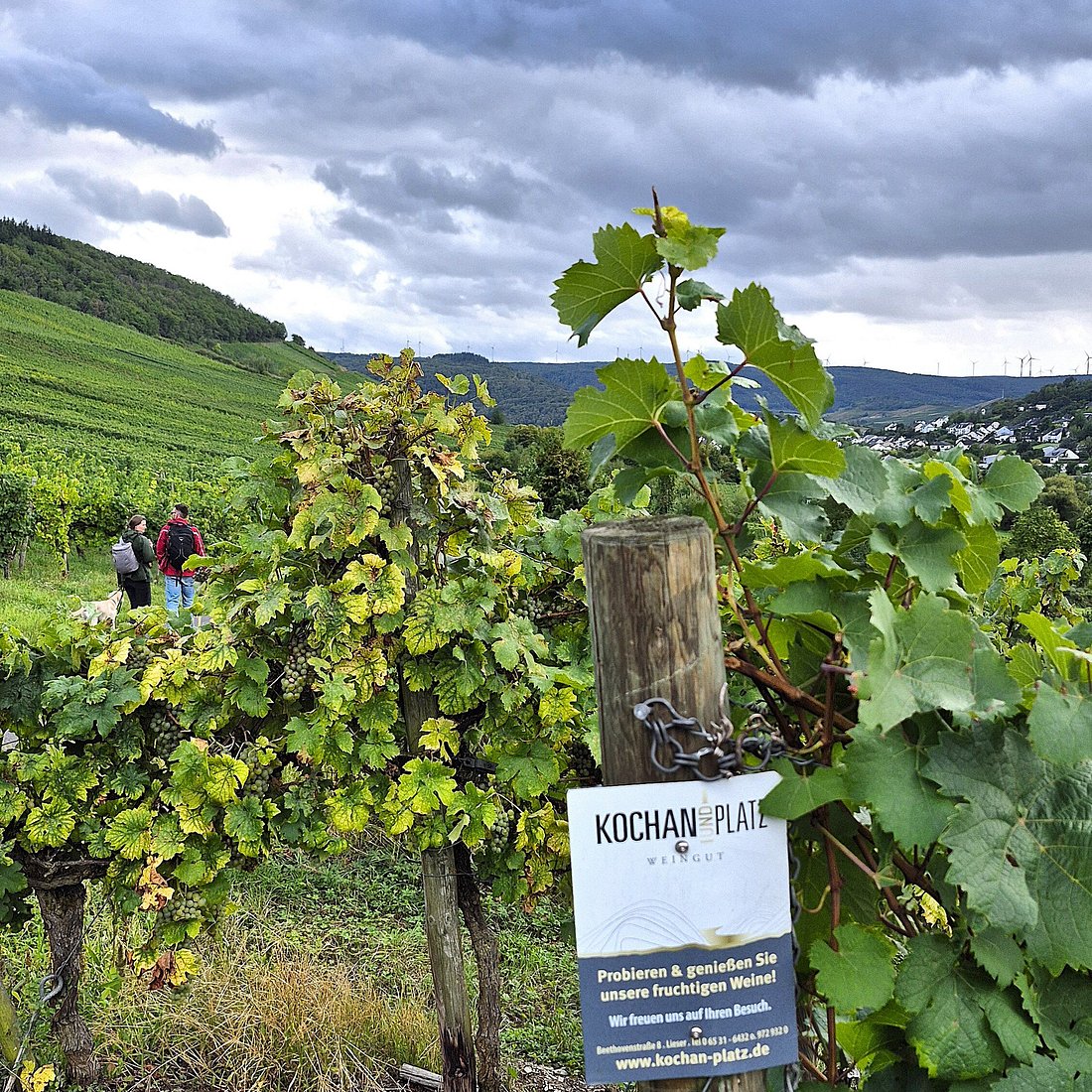 05.09.2026 - Tagesfahrt Weinfest der Mittel-Mosel in Bernkastel-Kues & Besuch des Weingutes "Kochan & Platz" in Lieser